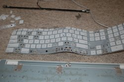 DSC_0004.JPG