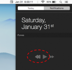 Screen Shot.png