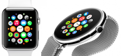 apple_round.png