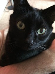 2015-02-03 16.45.56.jpg