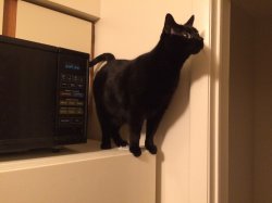 2015-02-03 19.51.33.jpg