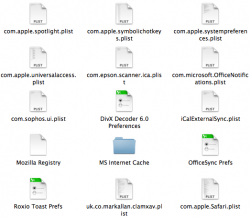 CreepingPreferences,IconsZoomed#4.png
