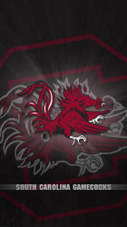 South Carolina Gamecocks.png