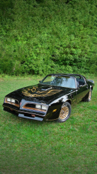 Trans Am 02.png