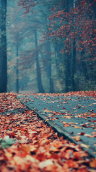 Fallen Leaves.png