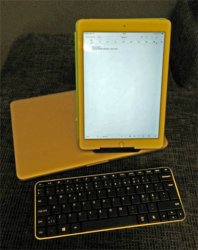 mswedgeipad.jpg