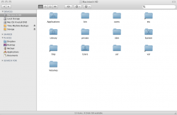 Messy Leopard Install.png