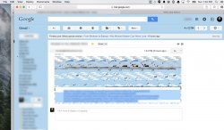 safari_graphics.jpg