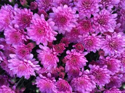 2014-10-05 15.41.35.jpg