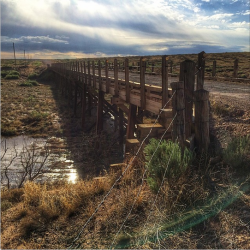 Route 66 - New Mexico.png