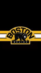 bruins02.jpg