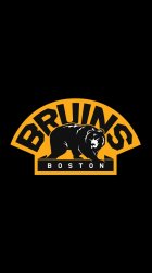 bruins04.jpg
