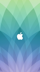 Apple Spring Forward 1080 02.png