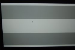 DSC_0070.JPG