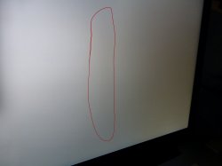 Sossity_150312_0158.jpg