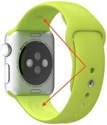 Watch band.jpg
