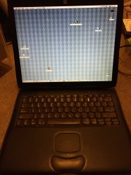 IMG_1339.jpg