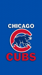 Cubs brick 03.png