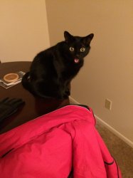 2015-03-27 07.00.00.jpg 2015-03-27 07.00.00.jpg