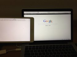 IMG_3466.JPG