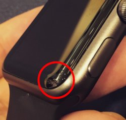 Closeup.jpg