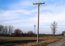 Telephone-Poll-950x678.jpg