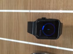 IMG_2271.jpeg