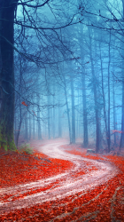 Forest 05.png