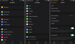 Apple-Watch-Settings-800x472.png