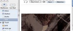Picture 1.png