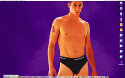 1.gif