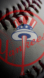 NY Yankees 02.png