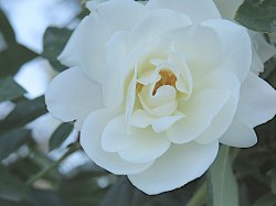 IMG_1858.jpg