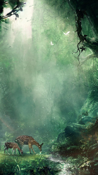 Jungle Scene.png