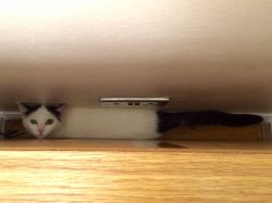 Photo 18-04-2015 13 46 23.jpg