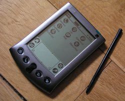 Palm V.jpg