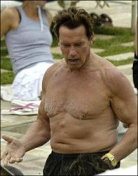 153184411_arnold_schwarzenegger_fat1_answer_2_xlarge.jpeg