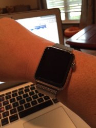 IMG_0501[2].jpg