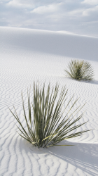 White Sand 640.png
