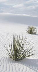 White Sand 744.png