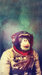 Space Chimp 01.png