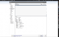 System Profiler.png