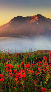 Mt Saint Helens 01.png