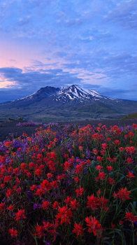 Mt Saint Helens 02.png