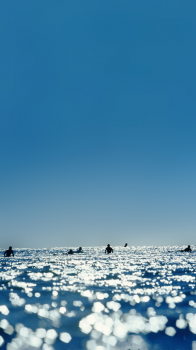 Surfers 750.png