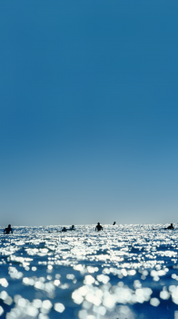 Surfers 1080.png