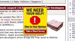 Picture 1 copy.png