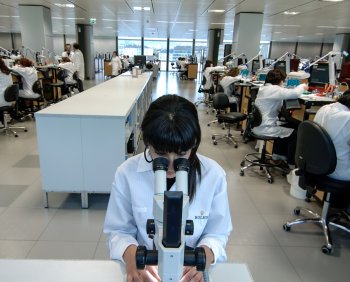 Rolex-Watch-Manufacture-1.jpg