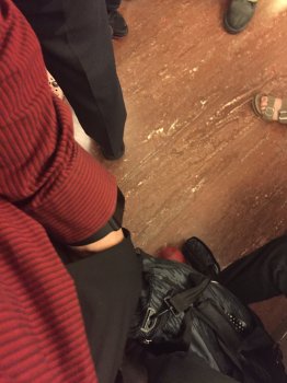 image.jpg