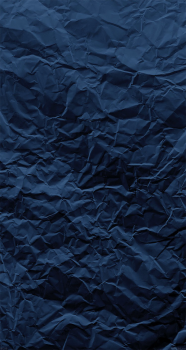 15.png